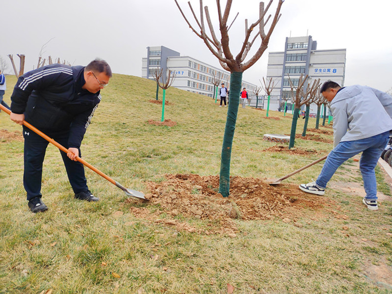 师生在植树活动现场