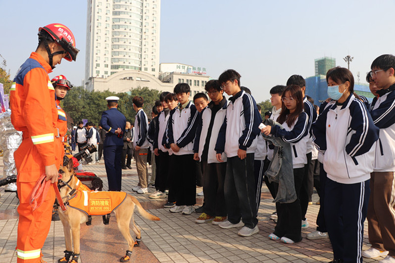 聆听消防员讲解救援现场“特种兵”搜救犬的故事