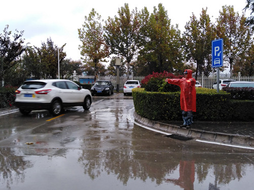 雨中坚守 指引车辆