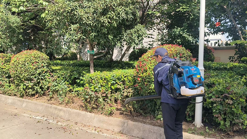 清理草丛落叶