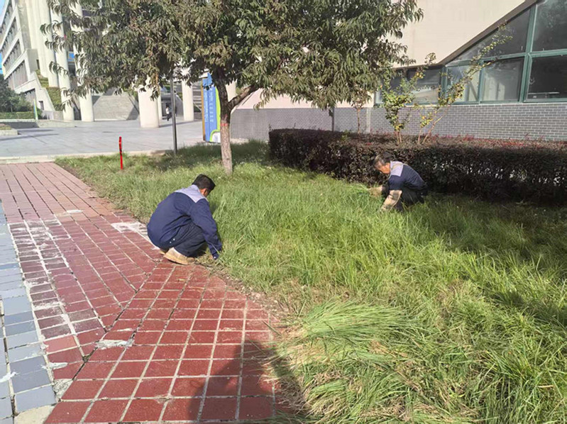 杂草清理